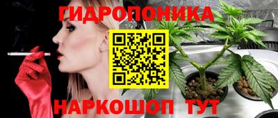 кокс Пугачёв